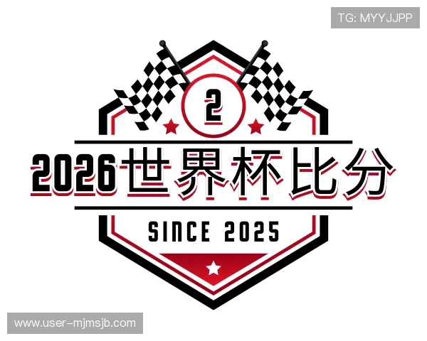 介绍2026世界杯比分