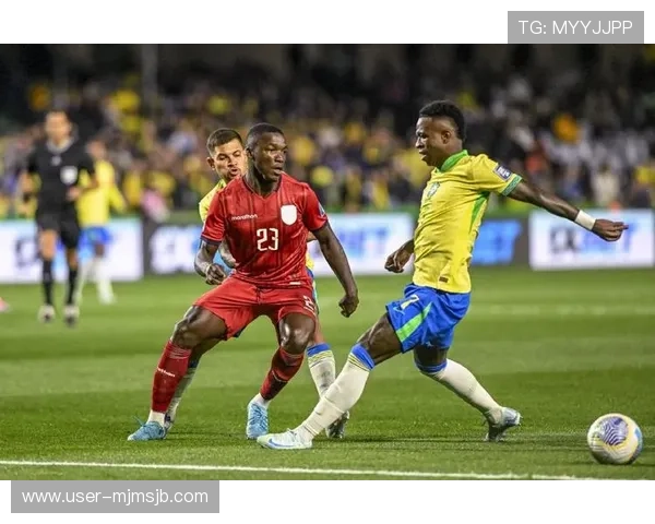 世界杯南美洲区预选赛巴西队最新赛况分析与未来晋级前景展望